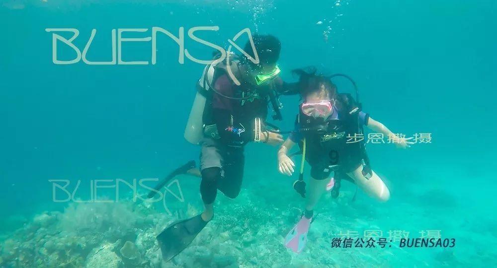 虫虫助手下载