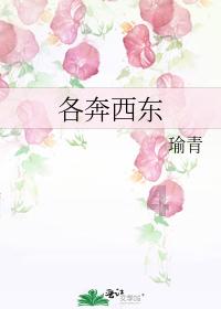 逃离野鸡森林